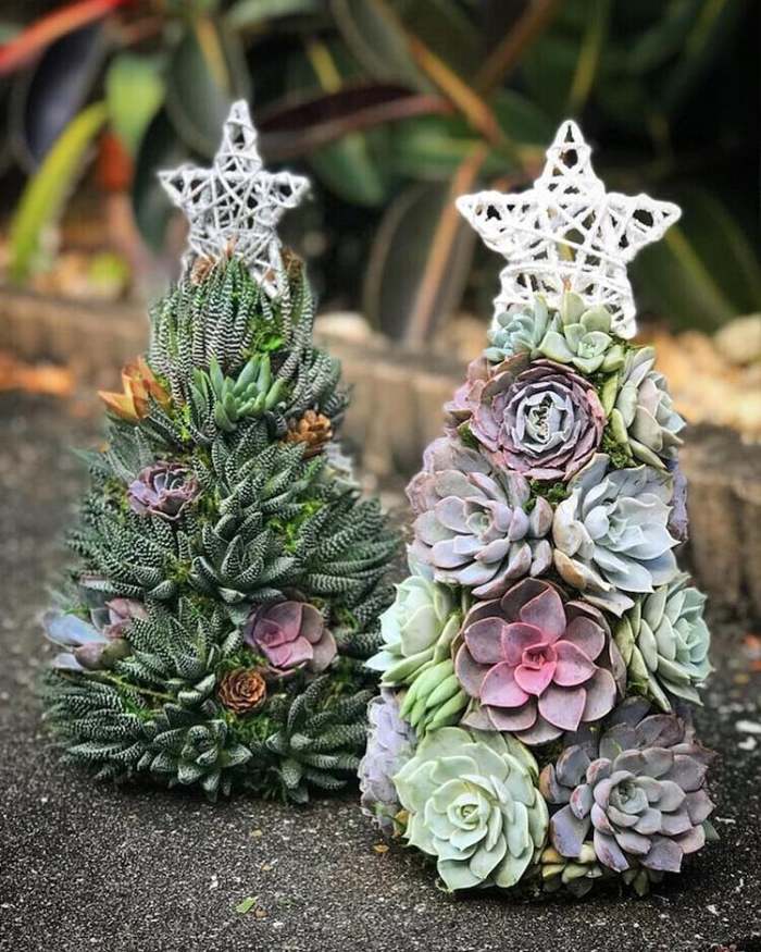 Last  Day 49% OFF - Succulent Art Tree