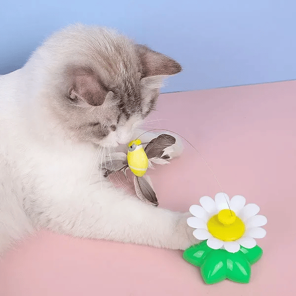 Big Sale-49% OFF-Electric bird teasing cat toy