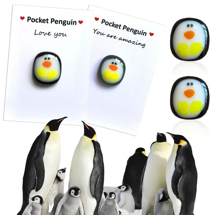 A Little Pocket Penguin Hug