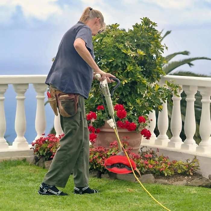 Weeding Disc