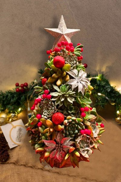 Handmade Surprise Christmas giftSucculent Christmas Tree
