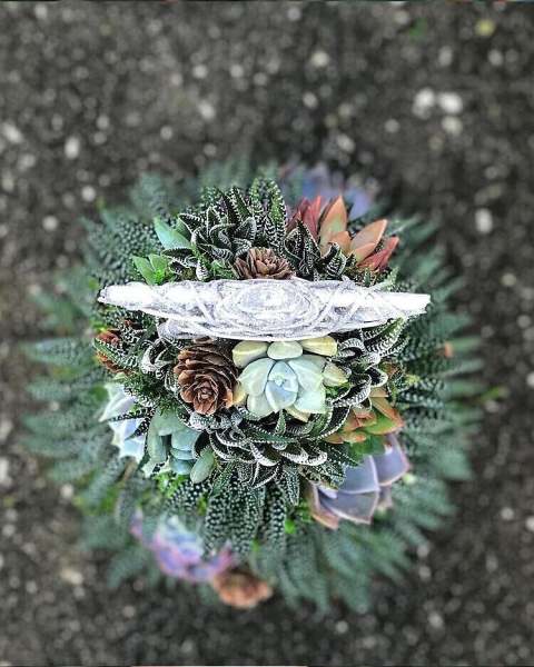 Last  Day 49% OFF - Succulent Art Tree