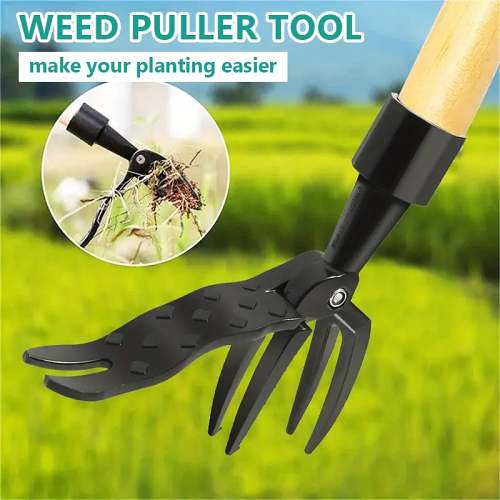 (1w+ Happy Customers)-New detachable weed puller