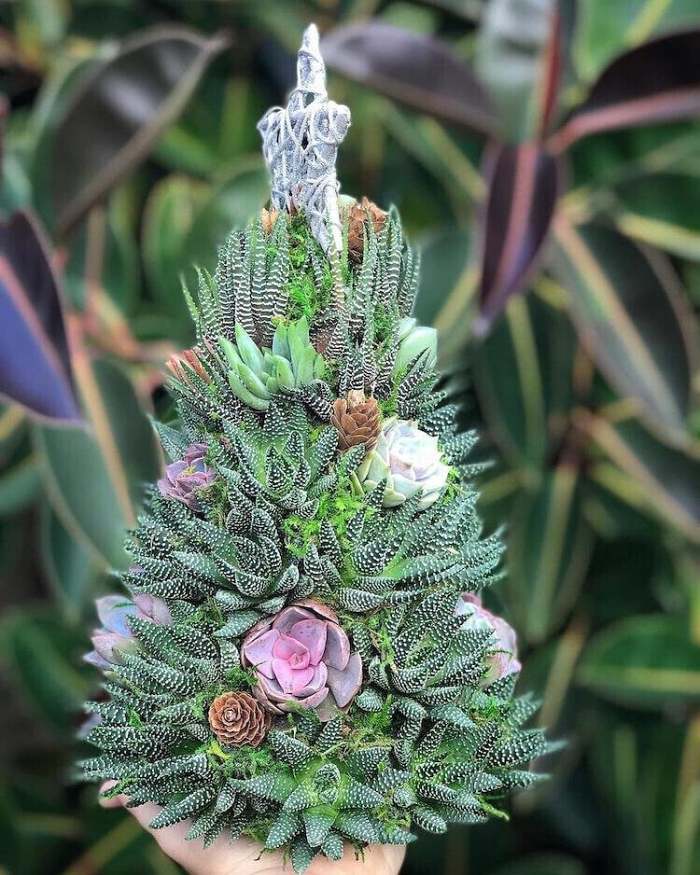 Last  Day 49% OFF - Succulent Art Tree