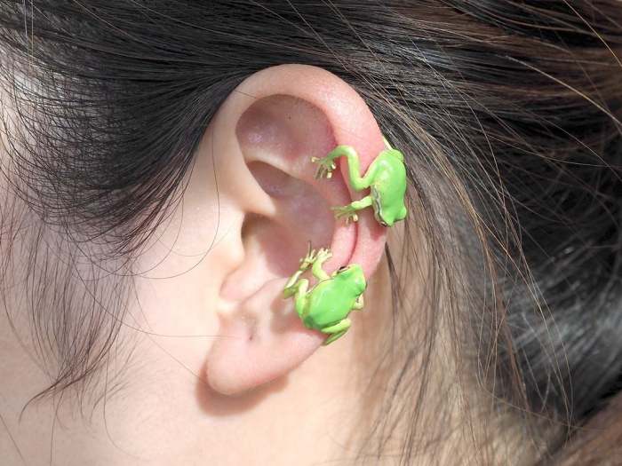 Tree Frog Ring & Earrings