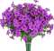 Purple Roland