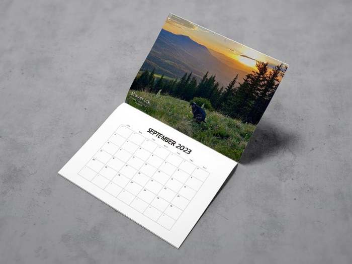 Funny Calendar Gift
