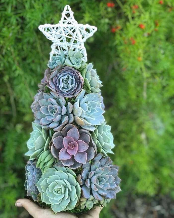 Last  Day 49% OFF - Succulent Art Tree