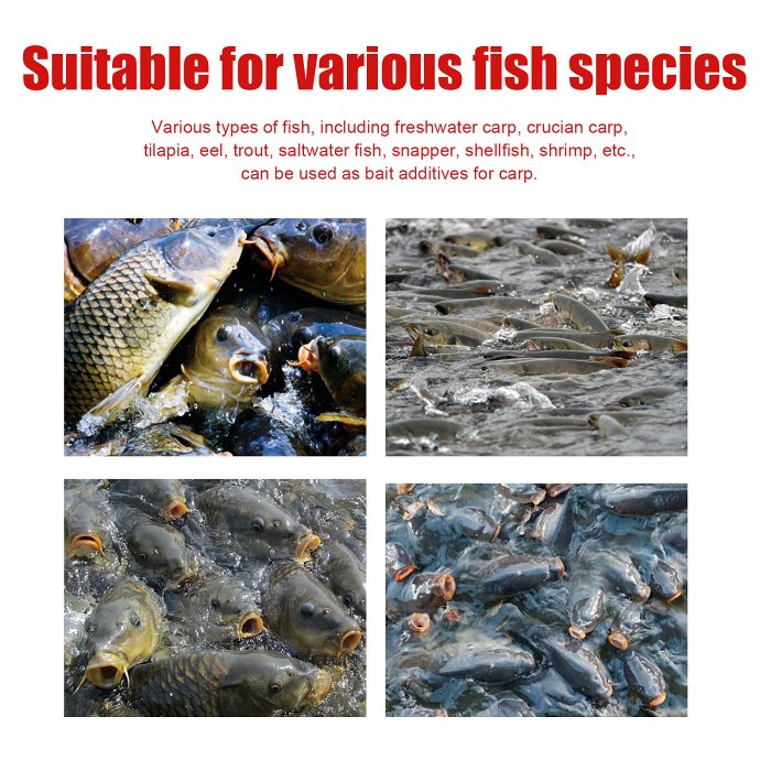 Red Worm Fish Attractant