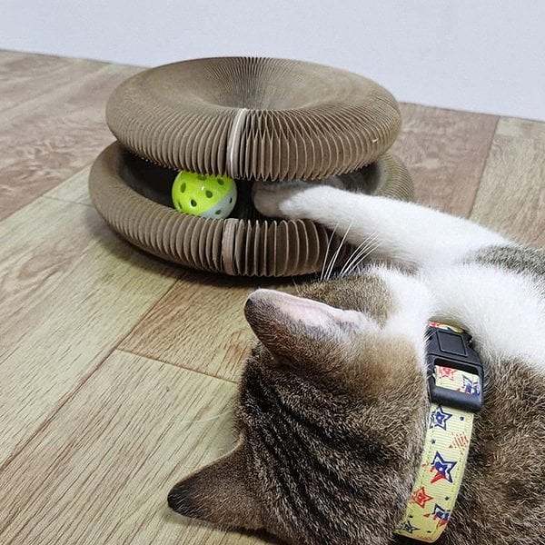 Magic Organ Cat Scratching Board--Comes with a toy bell ball