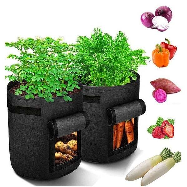 Summer  - Potato Grow Planter Bag