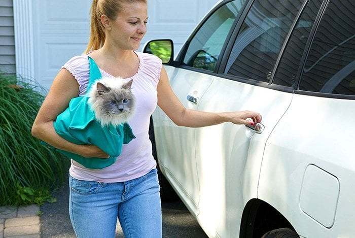 Cat Carry Pouch