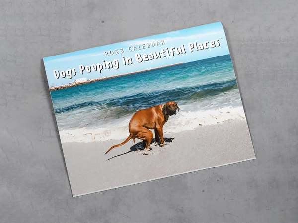 Funny Calendar Gift