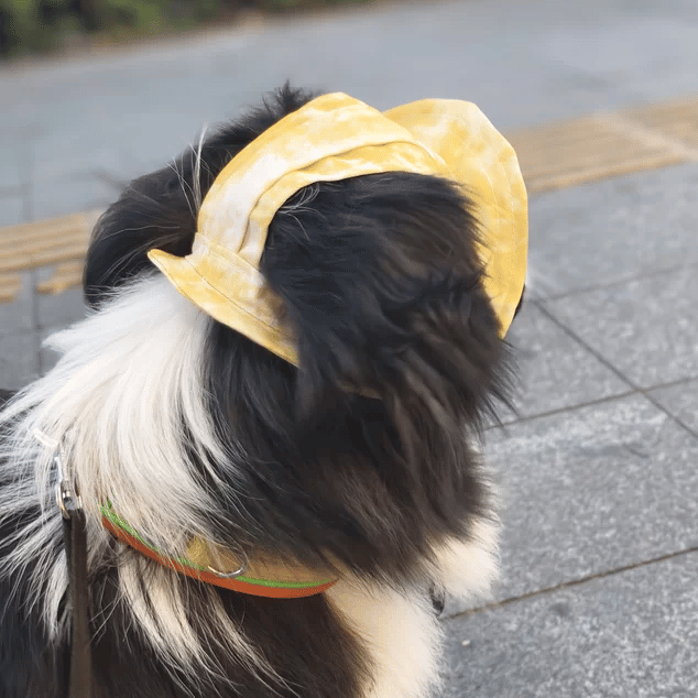 Pet Sun Hat