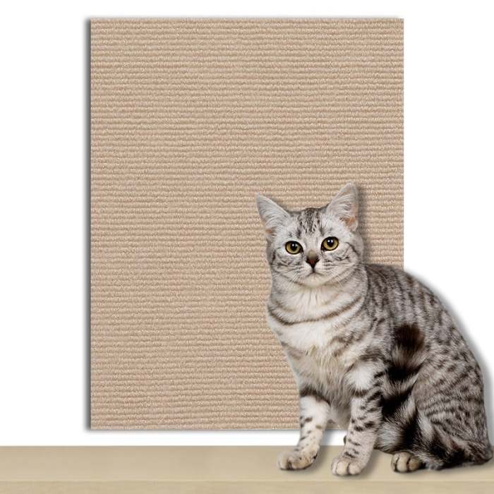 Cat Scratch - Proof Climbing Pad