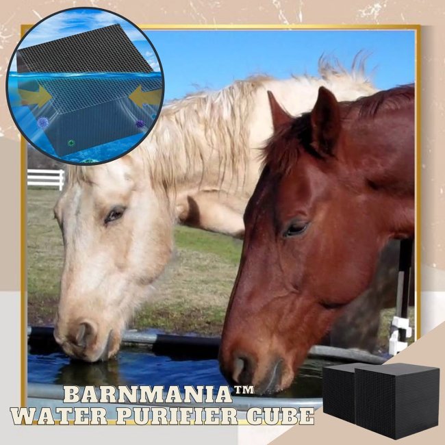 (49% OFF- Buy more save more) -- BarnManiaWater Purifier Cube