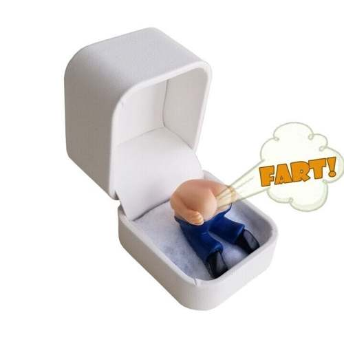 (HOT SALE - 48% OFF)Farting Butt in Ring Box (No Ring)