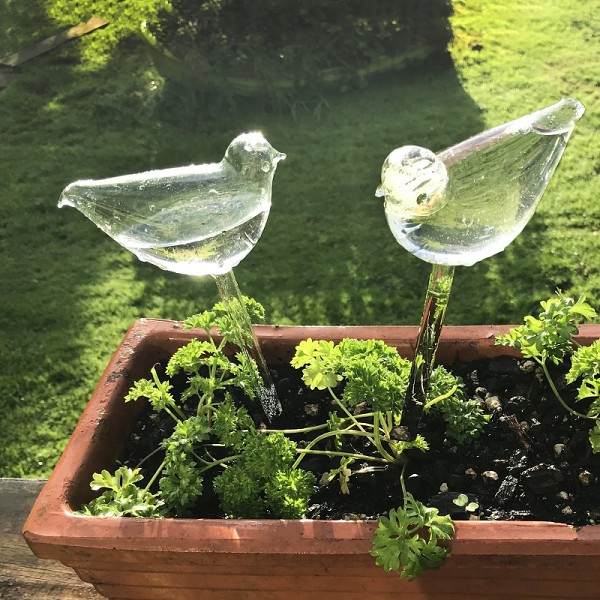 (Last Day Promotion-SAVE 50% OFF) Self-Watering Plant Glass Bulbs