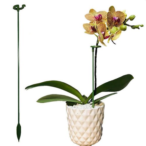 2024-New Sale-Plant Support Stake