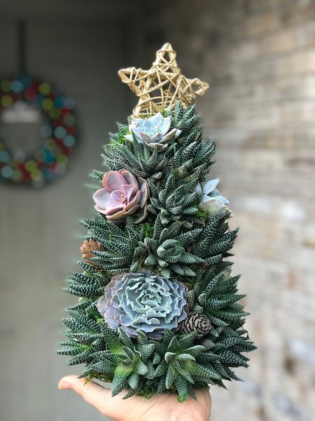 Last  Day 49% OFF - Succulent Art Tree