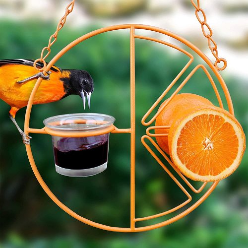 Summer Sale 45% Off -  Oriole Bird Feeder Orange