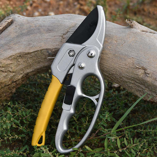 Labor-saving Fruit Tree Pruning Scissors