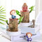 Lucky Brazil Wood + Ornament + liquid Fertilizer (germinate within three days)