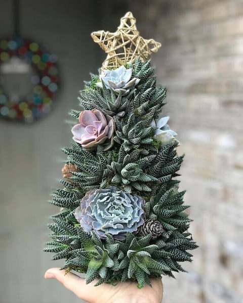 Handmade Surprise Christmas giftSucculent Christmas Tree