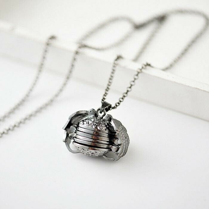 EXPANDING PHOTO LOCKET - BUY 2 GET 2 FREE NOW!