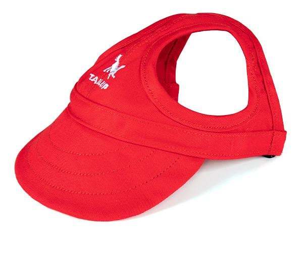 LAST DAY - 49% OFFOutdoor Sun Protection Hood For Dogs