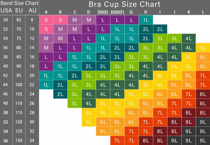 HOT SALENew Filifit Sculpting Uplift Bra