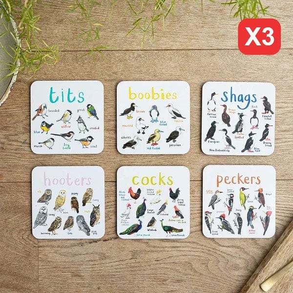 Set of 6 Bird Pun Coasters