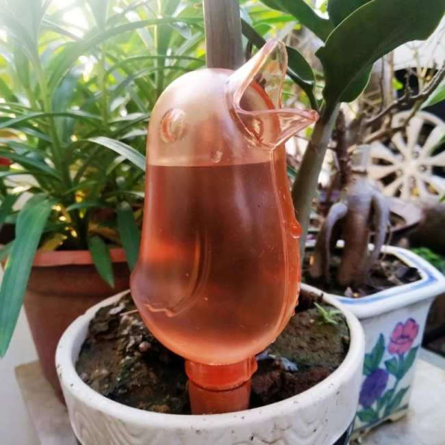 Early Summer Promotion - 49% offBirdie Type Automatic Flower Waterer