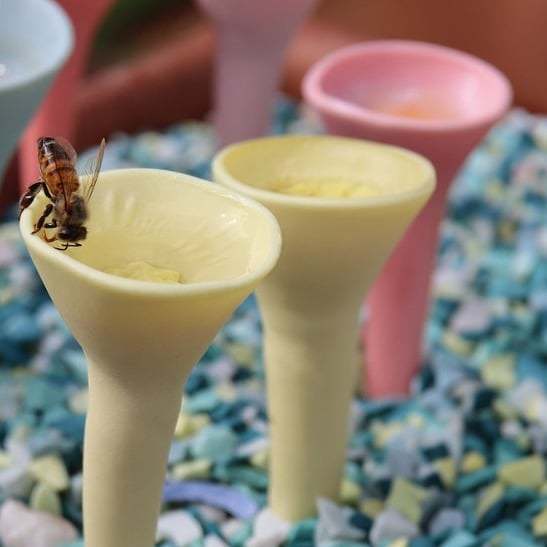 LAST DAY 49% OFFBee Insect Drinking Cup(5-Pack)