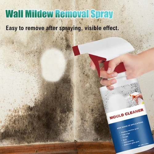 Anti-mould cleaning foam