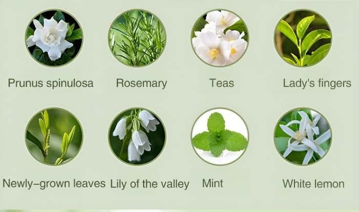 Automatic Aromatherapy Diffuser