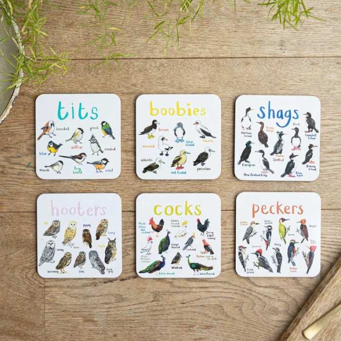Set of 6 Bird Pun Coasters