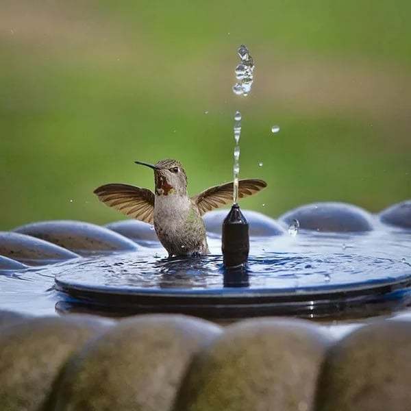 Buy 2 Free ShippingSolar Powered Water Fountain