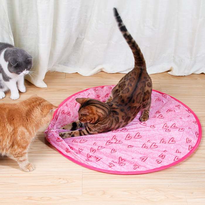 2 in 1 Simulated Interactive hunting cat toy