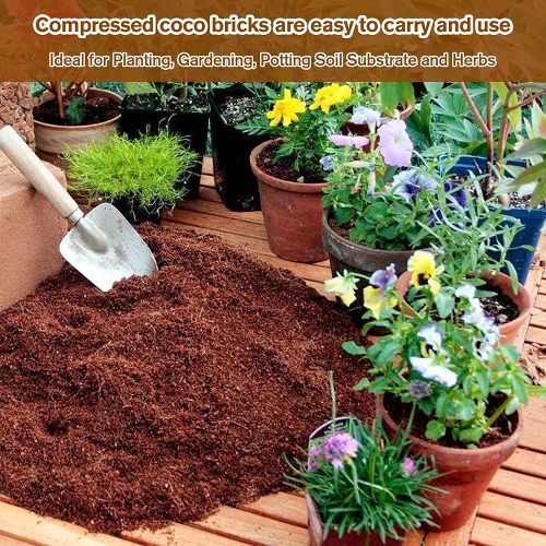 Premium Organic Coconut Coir Bricks for Plants