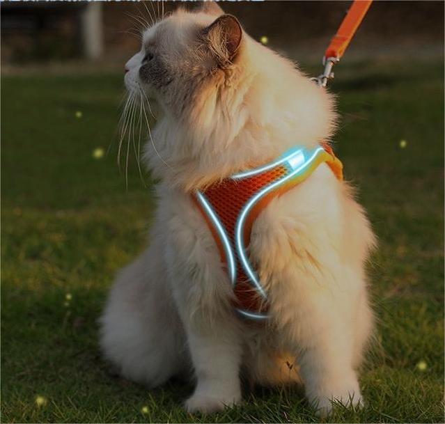 Adjustable Step in Harness for Cats and Dogs