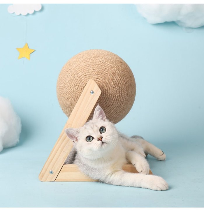 Multifunctional Cat Toy