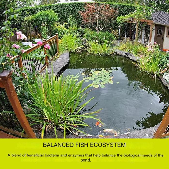 Non-toxic algaecide for aquariums