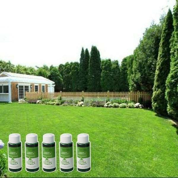 GreenRevive HydroSeeding Lawn Solution