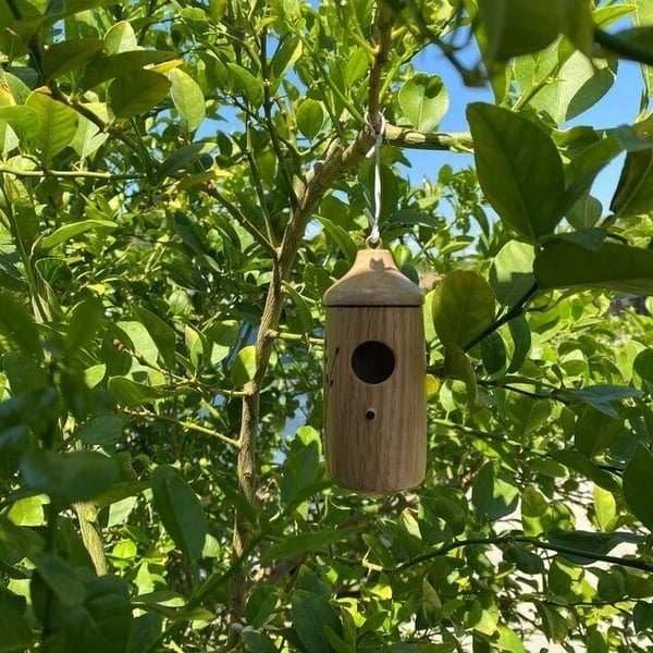 Hot SaleFowl Oasis-Tailor-made Woodworked Aviary