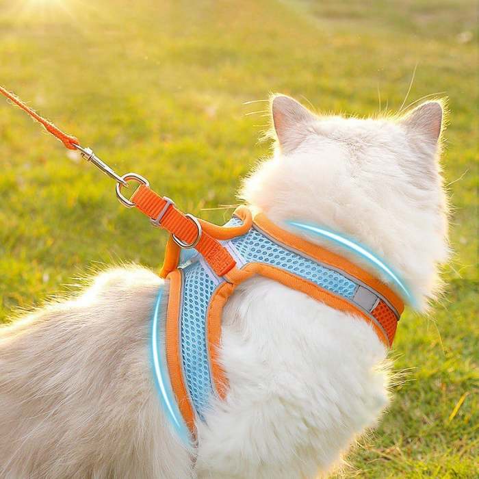 Adjustable Step in Harness for Cats and Dogs