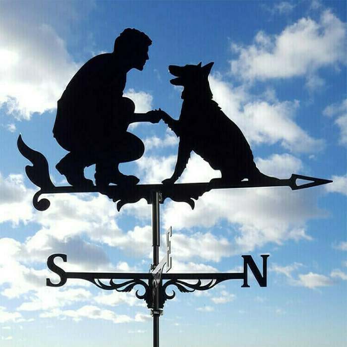 49% OFF - Stainless Steel Weathervane