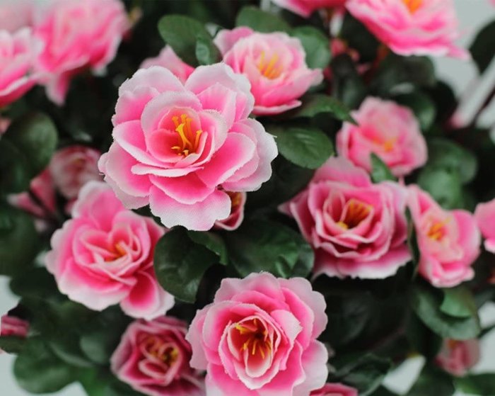 Artificial Azalea Floral