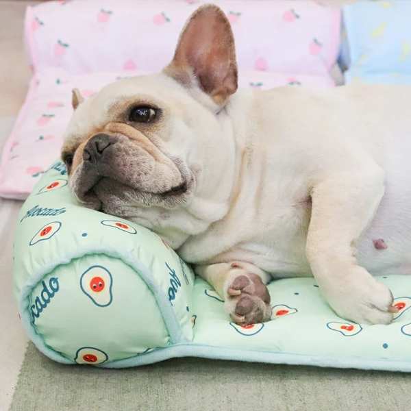 Cats/Dogs Cooling  Bed