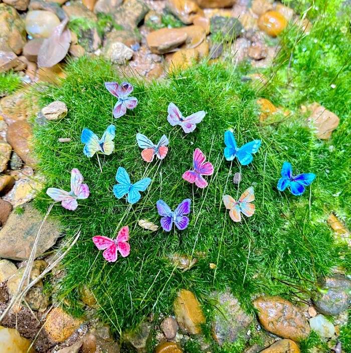 Micro Miniature Butterflies